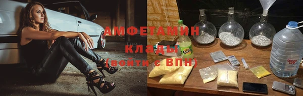 гидра Богородск
