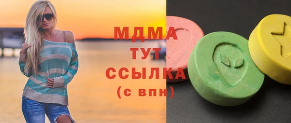 гидра Богородск