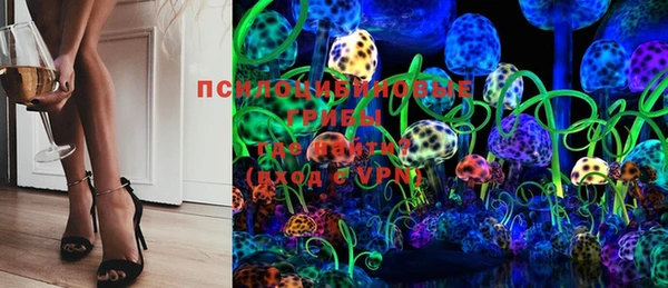 дурь Богданович