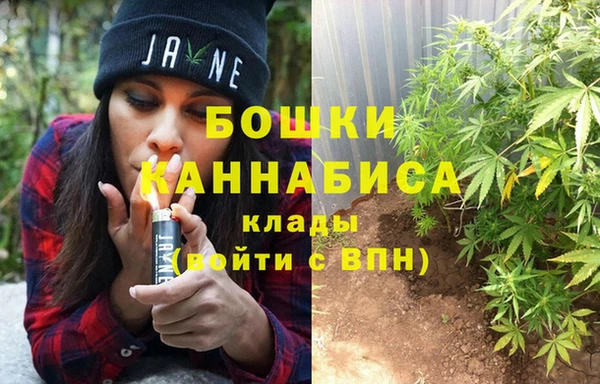 дурь Богданович