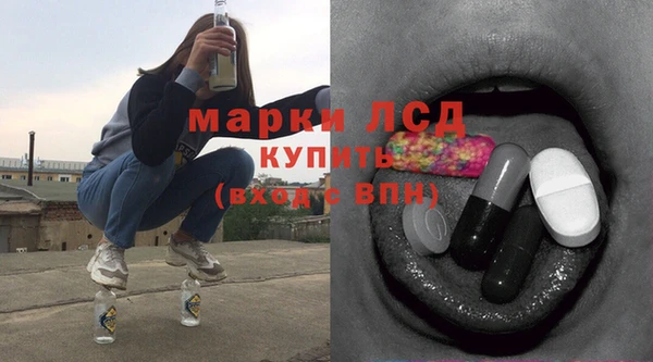 гидра Богородск