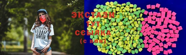 гидра Богородск