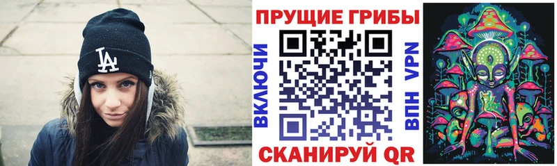 купить закладку  hydra маркетплейс  Псилоцибиновые грибы мицелий  Пенза 